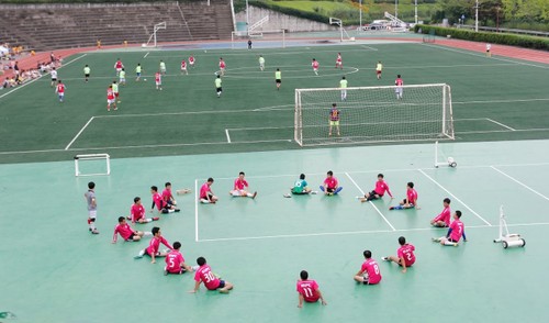 Đại hội thể dục thể thao của sinh viên Việt Nam tại Hàn Quốc 2016 - ảnh 3